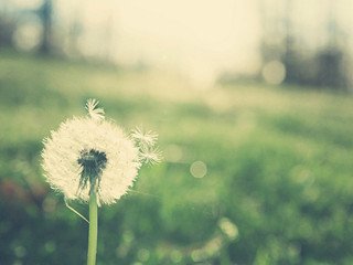 好及施使用注意，孕婦能貼膏藥嗎