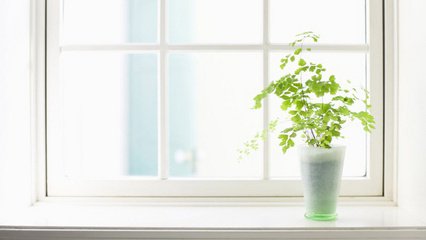 他克莫司膠囊用藥注意，他克莫司膠囊功效