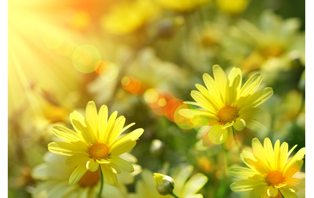 阿斯美副作用大嗎，阿斯美不良反應