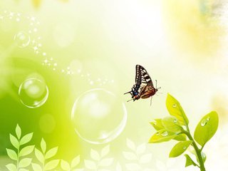 腰椎間盤突出痛怎么辦，好及施使用注意