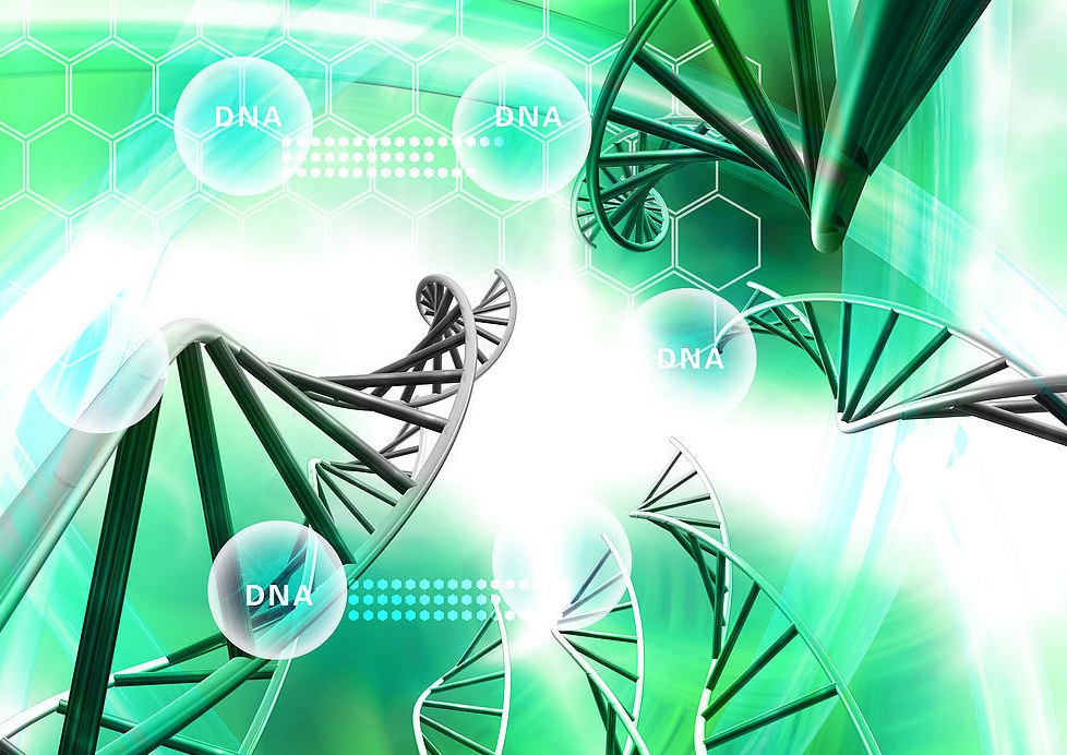 痛風吃什么藥最好，痛風吃什么中藥