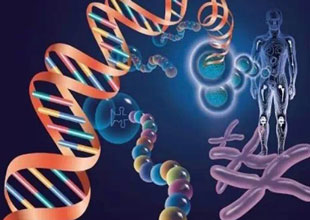 糖尿病性視網膜病變，糖尿病視網膜黃斑病變