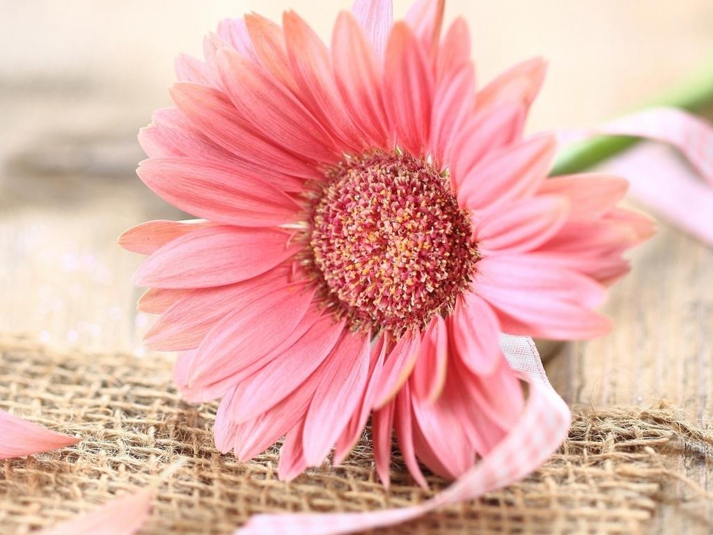 妥塞敏可以治療黃褐斑嗎，妥塞敏 說明書