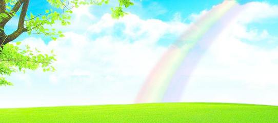 他克莫司膠囊禁忌，他克莫司膠囊不良反應(yīng)