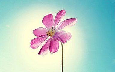 妥塞敏可以治療黃褐斑嗎，妥塞敏治療黃褐斑的副作用