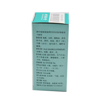 同仁堂 金匱腎氣丸（水蜜丸） 360丸